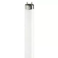 TL-D buis 58 watt 33          